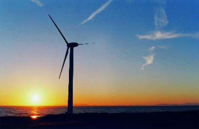 La producción renovable cae un 3% en el segundo trimestre y continúa perdiendo protagonismo