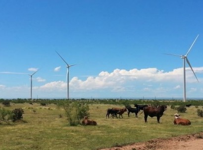 EDF Renewable Energy project begins operation in Texas