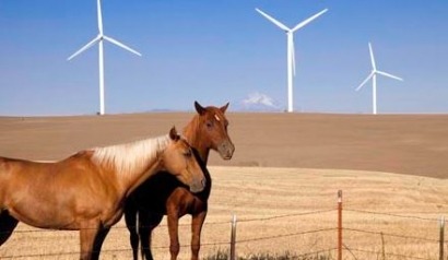 Iberdrola gets nod for up to 1-GW New Mexico wind farm 