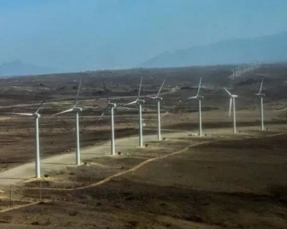 Environmental groups oppose planned wind farm in Kenya