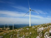 Según LAWEA, en 2010 la energía eólica en la región creció cerca de un 50%