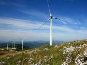 Acciona Windpower busca socio