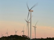 Las renovables aumentan su participación en la matriz energética