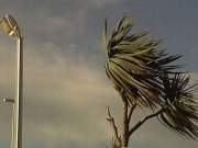 El grupo gallego Ecoener construirá dos parques eólicos en Gran Canaria
