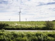 Danish commitment to 100% renewables applauded by IEA