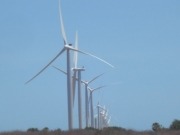 La india Suzlon quiere establecerse en el pa&iacute;s