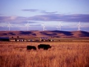 EDP Renováveis incrementa su beneficio neto en un 32%