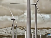 Wind dominates generation in March, covering 21% of demand