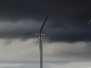 "Algunos gobiernos están poniendo en peligro puestos de trabajo y crecimiento"