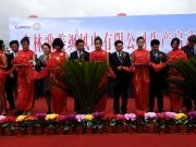 Gamesa consigue un nuevo pedido de 200 MW en China