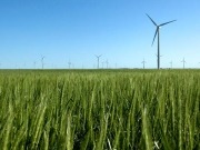 Se instalan casi 100 MW eólicos cada semana