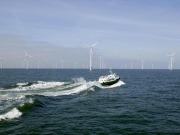 La Sociedad Española de Ornitología muestra su preocupación por el proyecto Zèfir