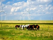 Iberdrola, el referente eólico en Estados Unidos