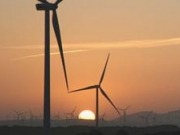 Acciona recurrirá la orden de desmantelamiento del parque de Serra del Tallat
