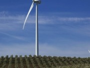Toshiba adquiere quince aerogeneradores Gamesa G90 de dos megavatios para un parque italiano