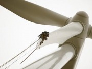 Un laberinto de cuatrocientos megavatios