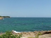 Zèfir, la eólica marina española mide sus pasos 