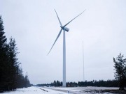 La eólica ha sido la primera fuente de electricidad en 2013, capaz de abastecer a todos los hogares españoles