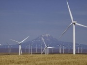 Cuatro CCAA pueden cubrir con el viento más del 50% de su demanda eléctrica