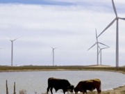 El parque eólico de Peñascal compite con el gas pizarra en Texas