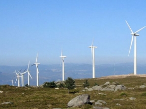 Spanish wind energy sector confident after successful tender