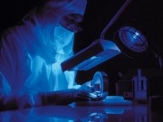 Schaeffler aumenta su facturación en 2012 "pese a las circunstancias exigentes del entorno"