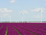 Senvion refuerza su presencia en Holanda