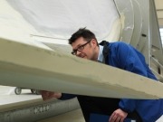 Can wind farms and forests mix?