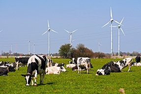 El 74% de la electricidad renovable en 2030 solo se alcanzará combinando todo tipo de instalaciones
