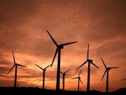 “El Gobierno propone llevar las renovables a los Presupuestos Generales del Estado”