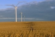 Global wind capacity could rise to 1,500 GW by 2020