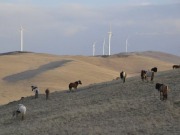 Mongolia joins the wind energy revolution