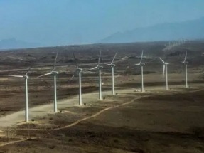 Environmental groups oppose planned wind farm in Kenya