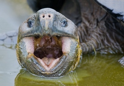 Galapagos Islands to boast hybrid renewable energy system