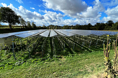 Intersolar 2023.3