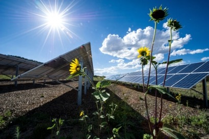 Hanwha SolarOne supplies 20.5MW to UK’s largest solar park