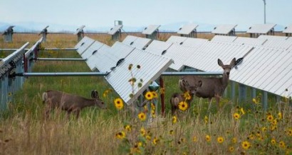 Health of Germany’s solar market inspires further discussion of grid needs