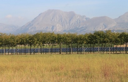 Europeans demand political focus on decentralised solar energy