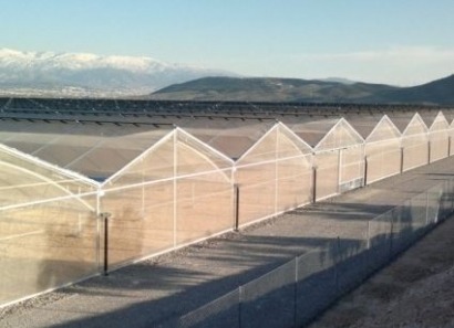 Innotech Solar modules replace traditional greenhouse roofs