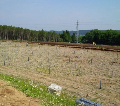 IBC SOLAR executing first own-developed PV project in Sakura, Japan
