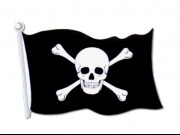 Denuncian pirater&iacute;a fotovoltaica