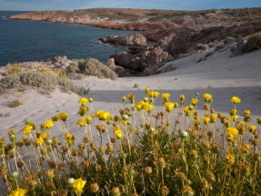 Chubut: Bahía Bustamante, un enclave ecológico que asegura su futuro con la instalación de un sistema fotovoltaico