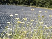 Top 5 predictions for Indian solar PV for rest of 2012