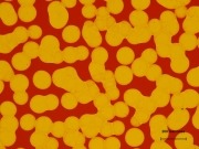 Investigan un técnica que abarata los paneles solares