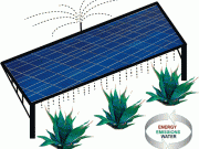 Dos en uno: fotovoltaica y biocombustible
