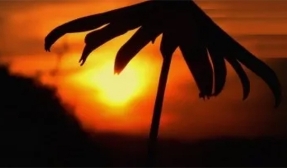 El autoconsumo supondrá un sobrecoste de 36 céntimos de euro para los no autoconsumidores El autoconsumo supondrá un sobrecoste de 36 céntimos de euro para los no autoconsumidores