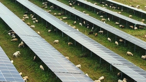 El 60 % de la población se muestra a favor de la implantación de parques fotovoltaicos en su municipio