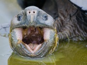 Galapagos Islands to boast hybrid renewable energy system