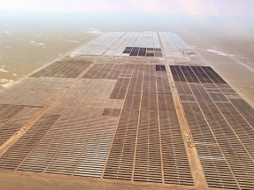 LONGi suministra los 123 MW para la planta fotovoltaica Granja de Solarpack