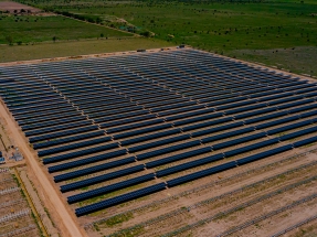 Por la decisión del Gobierno deja de funcionar una planta fotovoltaica con uno de los precios de electricidad más competitivos del mundo